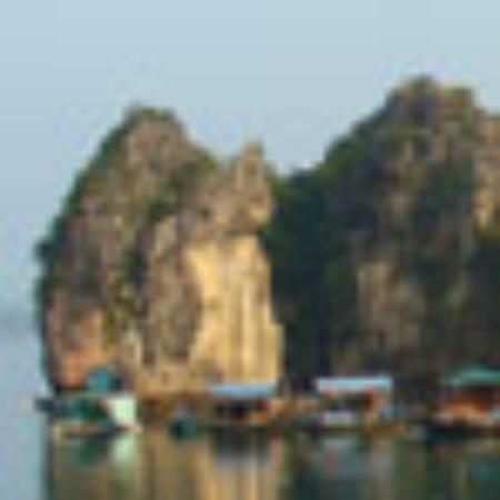 The Good Food Kitchen